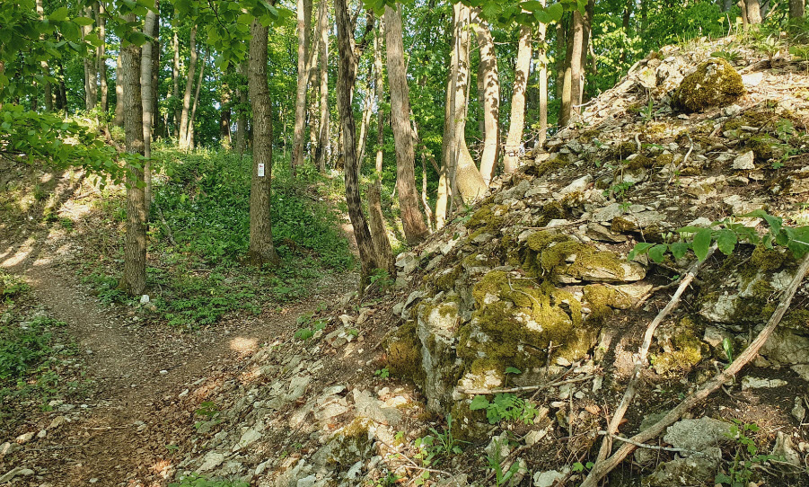 Burgstelle Randeck, Germany
